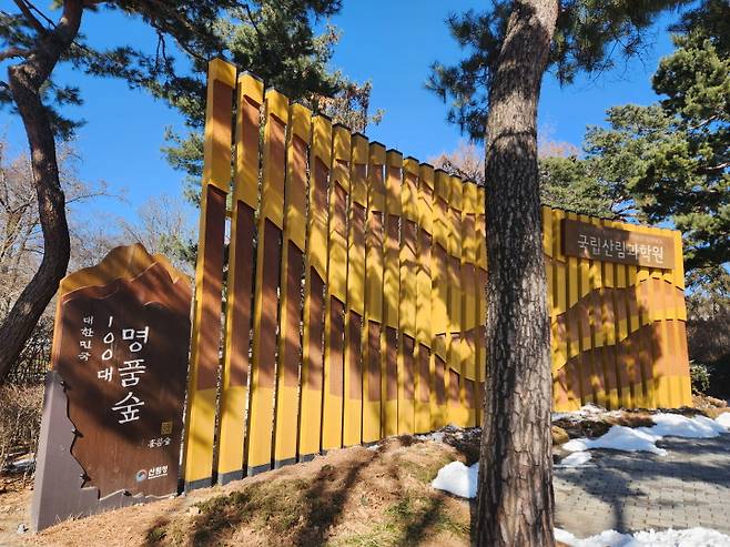 홍릉숲은 국가산림문화자산이면서 '대한민국 100대 명품숲'으로 지정돼&nbsp;있다.