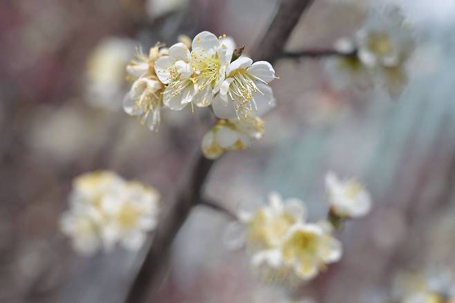 ZR의 사진 기록 능력은 Z6III와 큰 차이가 없다 / 출처=IT동아