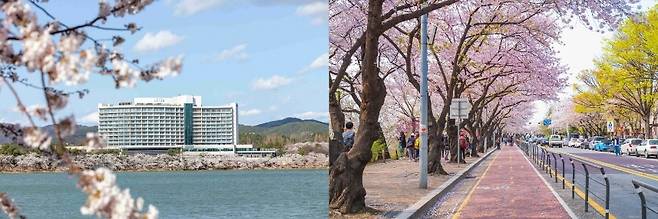 라한 셀렉트 경주 외경(왼쪽), 서울 여의도. (호텔스닷컴 제공)