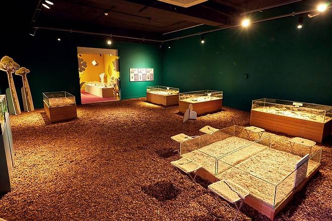 자연 생태계의 공생과 순환이 주제인 웃다리문화촌 특별전 '2026 생태야 놀자' 전시장 전경.