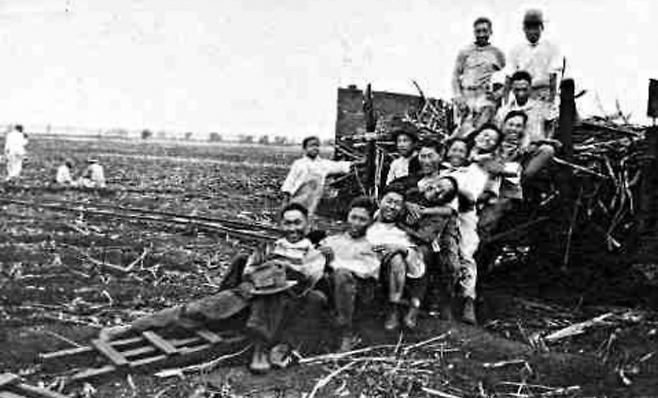 1903년 하와이 한 사탕수수밭의 한인 이주민 노동자들. <하와이대 한국학연구소>