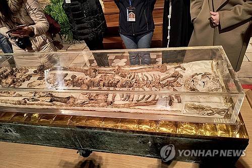 이탈리아 아시시 성당에 공개된 성인 프란치스코 유해 [AFP=연합뉴스 자료사진 제공]