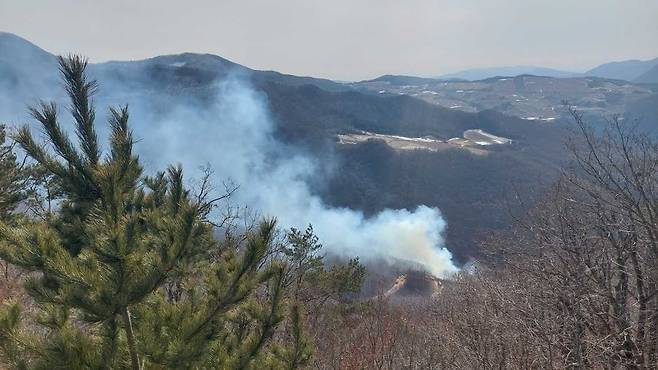 강원 정선 산불 현장 [강원특별자치도소방본부 제공. 재판매 및 DB 금지]