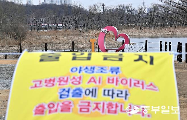 왕송호수에 있는 야생조류 폐사체에서 고병원성 AI가 검출되며 의왕시가 방역조치에 나선 가운데 24일 오후 의왕시 왕송호수데크길에 출입을 통제하는 안내문이 게시돼 있다. 김경민기자