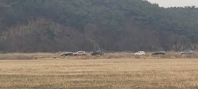 검독수리 사진을 찍기 위해 늘어선 차들. (사진 제보자 제공)/뉴스펭귄