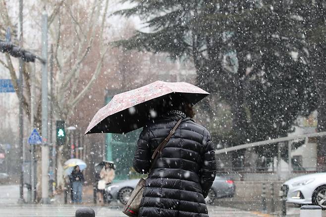 24일 오후 대구 수성구 대구은행네거리 인근에 갑작스레 많은 눈이 내리자, 시민들이 우산을 펼쳐 눈을 피하며 발걸음을 재촉하고 있다. 2026.2.24/뉴스1