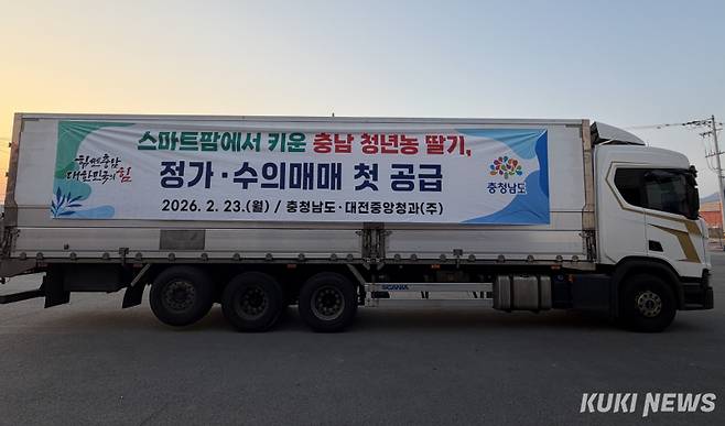 충남 청년농 딸기 정가, 수의매매 첫 공급.