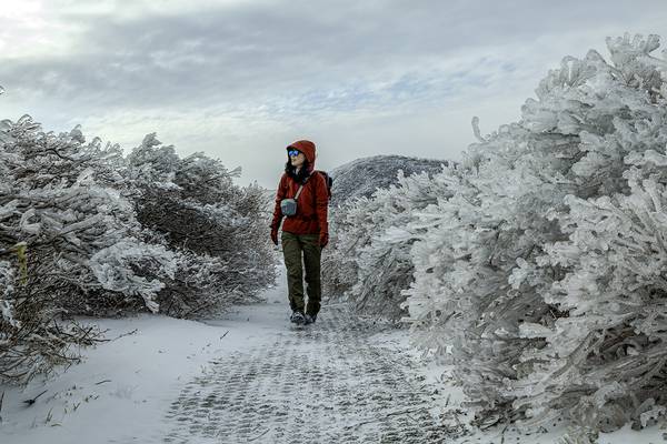 서정철 사진작가의 2024년 PX3 특별상 수상작 'Ice Flower(얼음꽃)'. /서정철