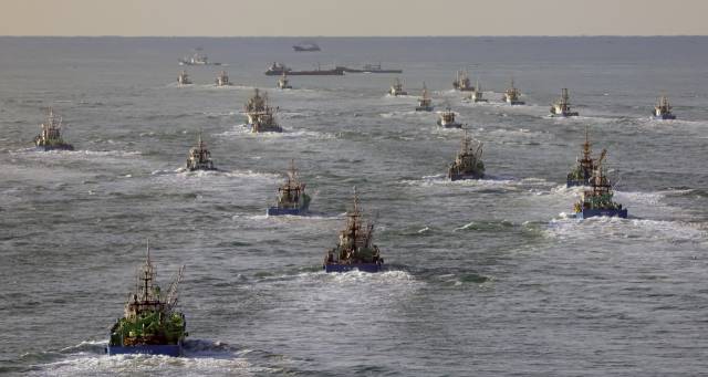 지난 23일 오전 국내 고등어 어획량의 80% 이상을 담당하는 대형선망 어선들이 부산 서구 공동어시장에서 출항해 먼 바다로 나가고 있다. 김종진 기자 kjj1761@