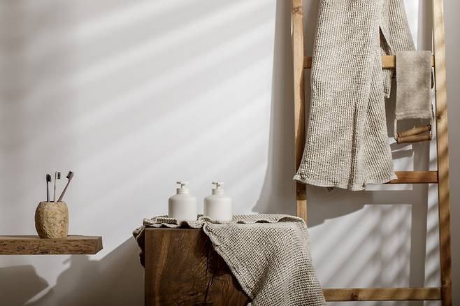 욕실에 둔 칫솔, 샤워 타월 등은 세균이 번식하기 쉬워 주기적인 소독과 세척이 필요하다. 사진=게티이미지뱅크