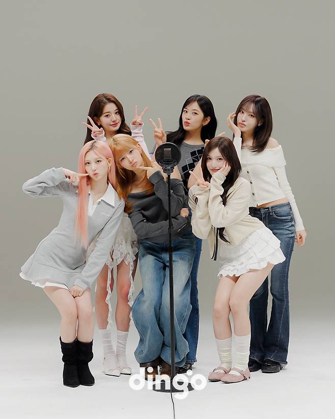 [사진제공=딩고]