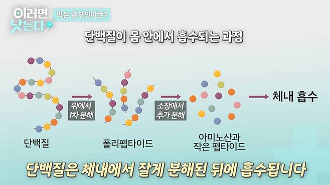 /조선일보 의학·건강 유튜브 '이러면 낫는다'