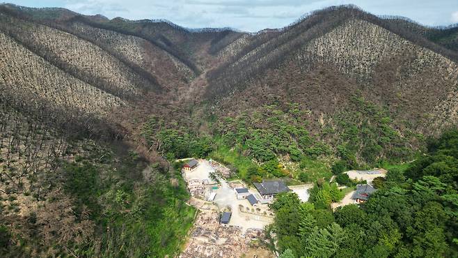 산불이 난 지 5달이 지난 2025년 8월28일 경북 의성 고운사 일대의 모습. 정용일 선임기자 yongil@hani.co.kr