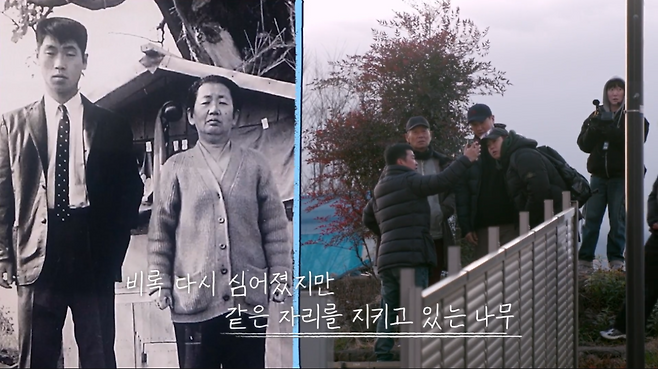 김성근 감독(왼쪽)이 1964년 11월 일본에서 한국으로 영주귀국하기 직전 어머니와 함께 사진을 찍고 있다.  한·일 국교정상화 전이어서 이대로 아들과 영영 생이별할 것을 걱정한 어머니는 김 감독의 영주귀국을 완강히 반대했지만 끝내 김 감독의 뜻을 꺾지 못하자 사진기를 가져오라 해 사진촬영을 했다고 김 감독은 회상했다. / 티빙 오리지널 ‘김성근의 겨울방학’ 캡처