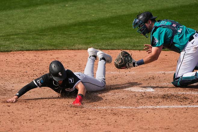 피오리아 | AP연합뉴스