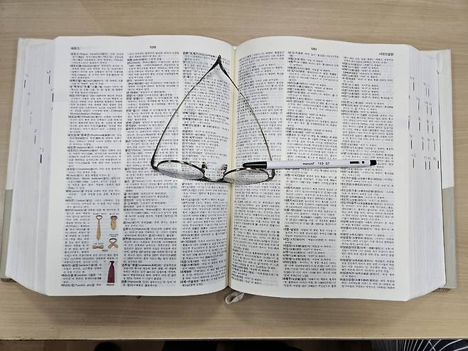 표준국어대사전 [촬영 고형규}