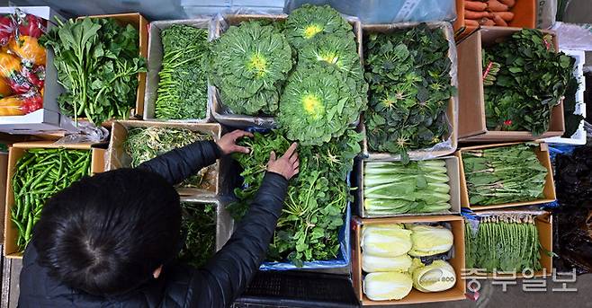 최근 젊은층 사이에서 SNS 등을 통해 봄동비빔밥이 인기를 끌며 건강과 유행을 함께 챙기는 제철 채소에 대한 관심이 높아지는 가운데 26일 오전 수원시 권선구 농수산물도매시장 채소동에 다양한 제철 봄 채소들이 진열돼 있다. 김경민기자