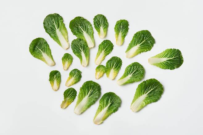 사진=게티이미지뱅크.