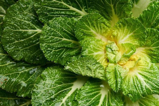 사진=게티이미지뱅크.