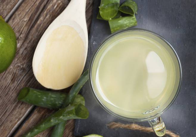 건강매체 헬스샷(HealthShots)은 아침 공복에 마시면 수분 보충과 함께 소화와 신진대사를 돕는 음료 여섯 가지를 소개했다./사진=클립아트코리아