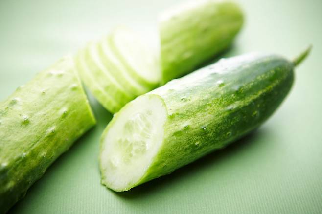 암요양병원 설립자이자 암 치료 식단의 대가로 꼽히는 이영석 원장이 암 환자의 고기 섭취에 대해 설명했다./사진=클립아트코리아