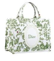 디올 북토트 스트랩 백