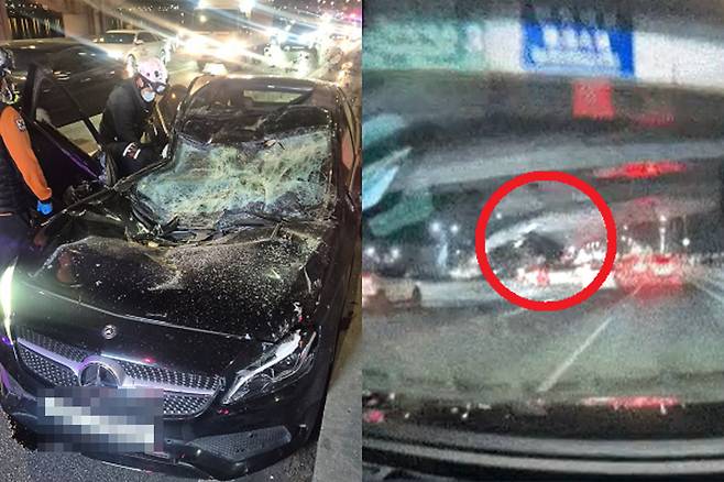 지난 25일 오후 서울 반포대교를 달리던 포르쉐 차량이 다리 밑 한강 둔치로 추락했다.&nbsp;용산소방서 제공·연합뉴스