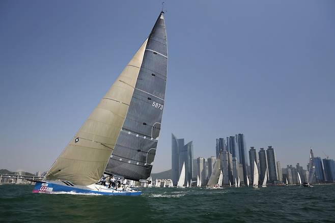 수영만 풍경 [김울프 작가 제공]