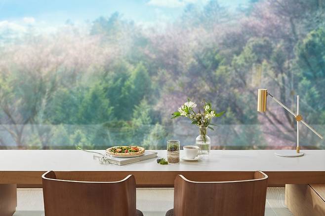 워커힐 호텔앤리조트의 봄 맞이 객실 패키지 '올 댓 스프링(ALL THAT SPRING)' 워커힐 호텔앤리조트 제공