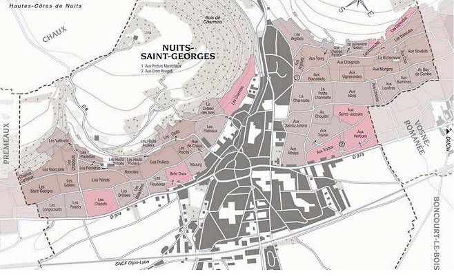 도멘 레셔노 뉘 생 조르주 포도밭(핑크색). 홈페이지