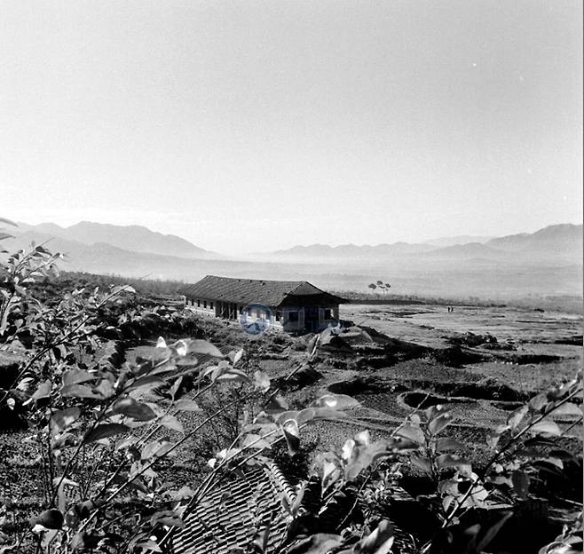 1961년 경주 불국사 전경. 사진 국가기록원