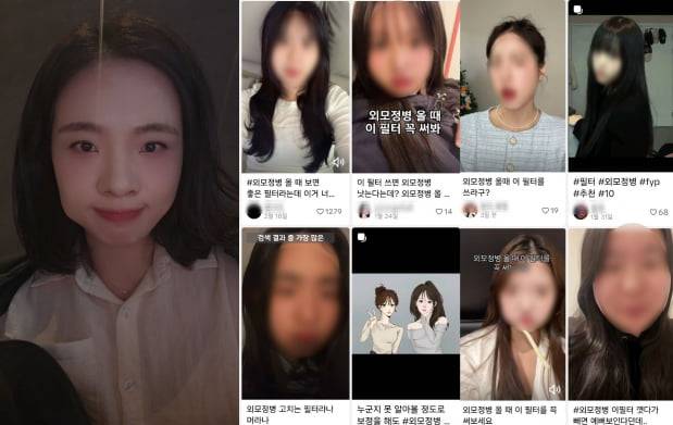 (왼) 기자가 직접 찍어본 외모정병 치유 필터/(오) 출처=틱톡