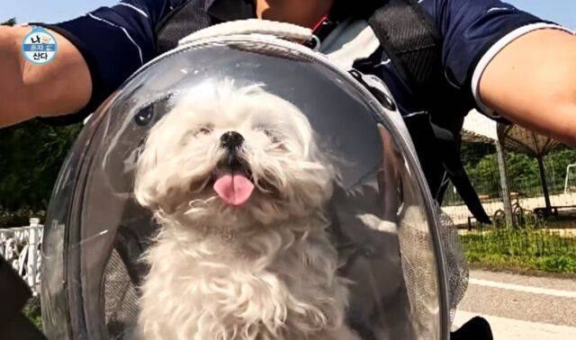 '나혼산' 꽃분이/MBC