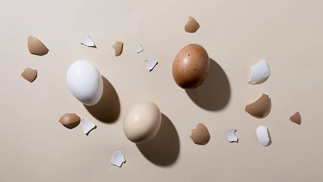 난각막 제품을 선택할 때는 단순 분말이 아닌, 식약처 기능성 인정을 받은 ‘건강기능식품’ 표시 여부를 확인하는 것이 필요하다. Freepik