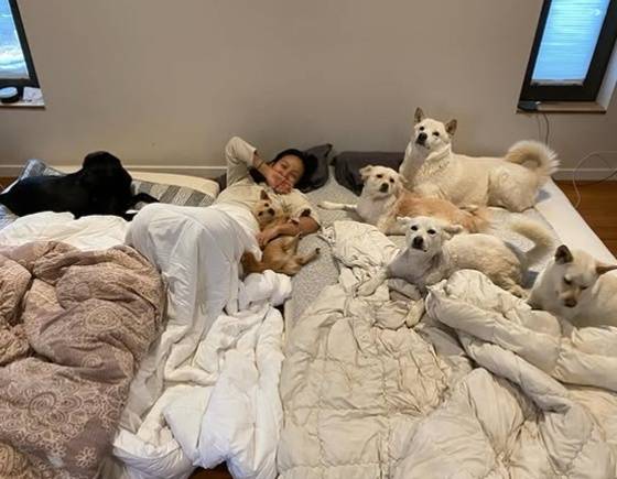 /사진=이효리 SNS