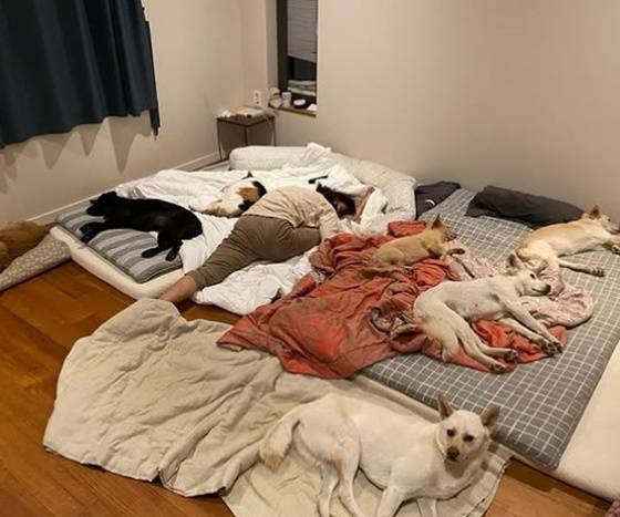 /사진=이효리 SNS