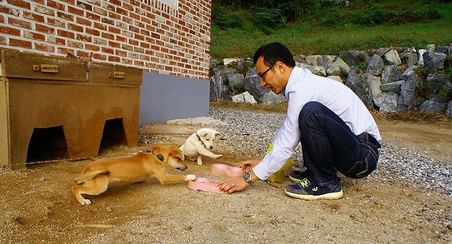 포천 집에서 기르던 강아지들에게 밥을 주는 안효원씨. 흰 강아지의 이름은 횡성, 갈색 강아지는 한우다. /사진=안효원씨 제공