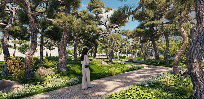 송현문화공원 송현마루숲