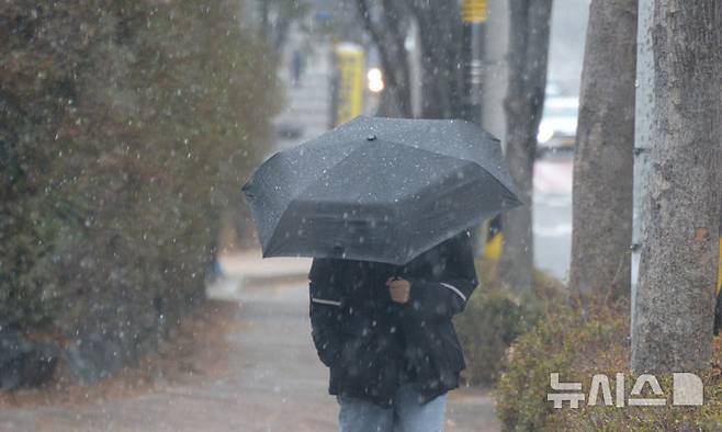 [전주=뉴시스] 김얼 기자 = 쌀쌀한 겨울 날씨가 찾아온 24일 전북 전주시 덕진구 송천동에서 시민들이 내리는 눈 사이로 길을 지나고 있다. 2026.02.24. pmkeul@newsis.com