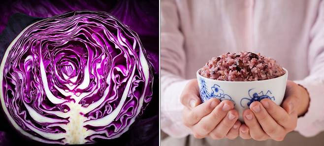 보랏빛의 적양배추에는 일반 양배추에는 거의 없는 안토시아닌 성분이 가득하다. 흑미는 도정이 많이 될수록 함량이 줄어들기 때문에 가급적 통곡물 형태로 섭취하는 것이 유리하다. 클립아트코리아 제공