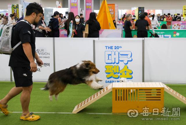 6~8일 엑스코 동관에서 163개사 500부스가 참여하는