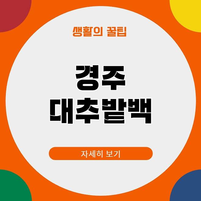 경주 대추밭 백한의원 가격