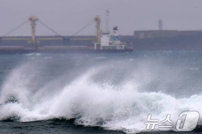 2일 경북 포항시 북구 흥해읍 죽천리 해안가로 파도가 밀려들고 있다. 2026.3.2 ⓒ 뉴스1 최창호 기자
