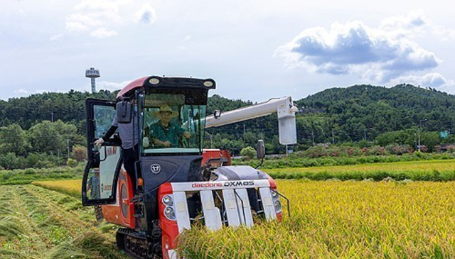 수확  [연합뉴스 자료사진]