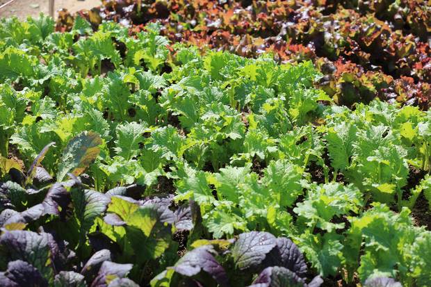 기사 이해를 돕기 위한 사진. 클립아트코리아