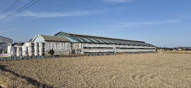 고양시 일산서구 구산동 구제역 발생 농가 현장. 김태훈 기자