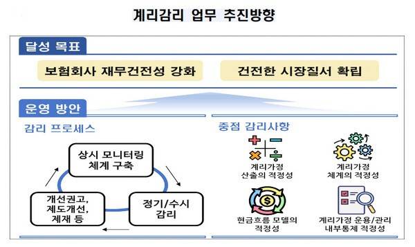 [출처= 금감원 ]
