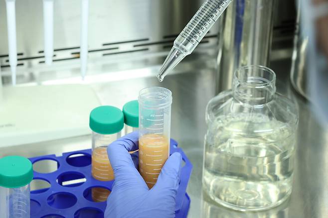 지방줄기세포. /사진 제공=365mc