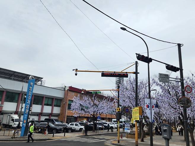 효창공원으로 가는 길목에 태극기가 나무에 빼곡히 걸려 있었다. 삼일절을 상징하는 장면이다.