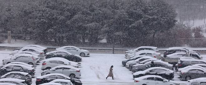 대전·세종·충남 남부권에 대설주의보가 발효된 지난 24일 세종시 정부세종청사에 주차된 차량들에 눈이 쌓여가며 눈이 내리고 있다. /사진=뉴스1